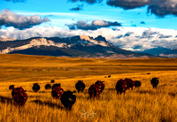 Montana Landscapes